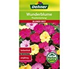 Dehner Blumen-Saatgut, Wunderblume "Prachtmischung", 5er Pack (5 x 3 g)