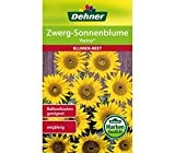 Dehner Blumen-Saatgut, Zwerg-Sonnenblume "Pacino", 5er Pack (5 x 2 g)