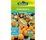 Dehner Gemüse-Saatgut, Andenbeere, 5er Pack (5 x 1 g)
