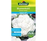 Dehner Gemüse-Saatgut, Blumenkohl "Erfurter Zwerg", 1 g