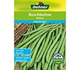 Dehner Gemüse-Saatgut, Buschbohne, "Brilliant", 5er Pack (5 x 125 g)
