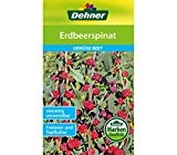 Dehner Gemüse-Saatgut, Erdbeerspinat, 5er Pack (5 x  4 g)