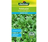 Dehner Gemüse-Saatgut, Feldsalat "Verte à coeur plein 2", 5er pack (5 x 3 g)