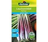 Dehner Gemüse-Saatgut, Lauchzwiebel "Red Toga", 5er Pack (5 x 4 g)
