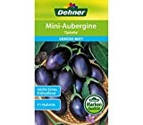 Dehner Gemüse-Saatgut, Mini-Aubergine, "Ophelia", 5er pack (5 x 7 g)