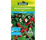 Dehner Gemüse-Saatgut, Monatserdbeere "Rügen", 5er Pack (5 x 1 g)