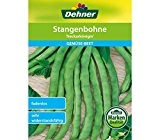 Dehner Gemüse-Saatgut, Stangenbohne, "Neckarkönigin", 5er Pack (5 x 45 g)