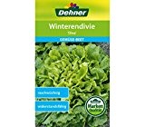 Dehner Gemüse-Saatgut, Winterendivie, "Diva", 5er pack (5 x 3 g)