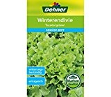 Dehner Gemüse-Saatgut, Winterendivie, "Escariol grüner", 5er pack (5 x 3 g)