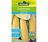Dehner Gemüse-Saatgut, Zuckermais "Tasty Sweet",  5er pack (5 x 9 g)