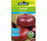 Dehner Gemüse-Saatgut, Zwiebel "Brunswijker", 5er Pack (5 x 3 g)