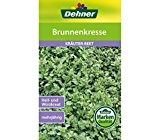 Dehner Kräuter-Saatgut, Brunnenkresse, 5er Pack (5 x 3 g)