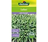 Dehner Kräuter-Saatgut, Salbei, 5er Pack (5 x 2 g)