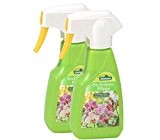 Dehner Orchideenpflege Spray, 2 x 250 ml (500 ml)