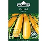 Dehner Premium Gemüse-Saatgut, Zucchini "Gold Rush", 5er pack (5 x 4 g)