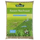Dehner Rasen-Nachsaat, 1 kg, für ca. 40 qm