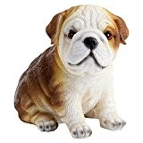 Deko Figur Kleiner Hund Bulldogge Welpe 16cm Hoch