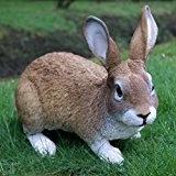 Dekofigur Hase Kaninchen Tierfigur Gartenfigur Wildkaninchen Zwerghase