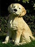 Dekorationsfigur Hund Labrador Retriever H 36 cm Dekofigur aus Kunstharz