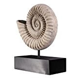 Design Toscano Ammonit-Skulptur auf Museumspin