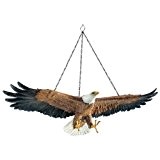 Design Toscano Flug der Freiheit, Hängender Adler Skulptur