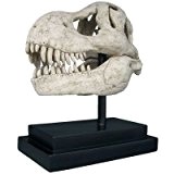Design Toscano T-Rex, Dinosaurier-Fossilschädel Statue auf Museums-Pin