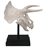 Design Toscano Triceratops, Dinosaurier-Fossilschädel-Figur auf Museums-Pin