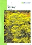 Dill, Vierling, Anethum graveolens, ca. 400 Samen