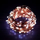 Dimmbare LED-Kupferdraht -Lichter, wasserdicht Lichterketten für Dekoration Weihnachtsfest, Hochzeit, Party - Fernbedienung (33 Ft 100 LEDs Warmweiß ) (DC Powered)
