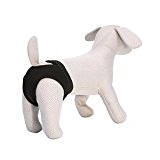 Doggy Pants Schutzhöschen (25 cm) - Slip elastisch und saugfähig für Hunde aller Größen