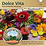 Dolce Vita Sommerblumen Mischung Saatband für Balkon & Terrasse farbenfroh blüht den ganzen Sommer Schmetterlingsweide 53060