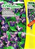 Duftveilchen Viola odorata Duft Veilchen Sweet Violet Staude