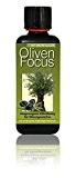 Dünger Oliven Focus 300ml Flüssigdünger Konzentrat Olivenbaum Olive