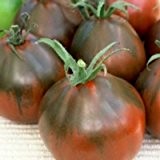 Dunkelbraune Tomate in Birnenform - exzellenter Geschmack - Black Pear - 20 Samen