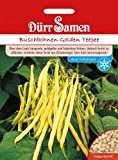 Dürr-Samen Buschbohnen Golden Teepee