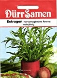 Dürr-Samen Estragon Artemisia (dracunculus)