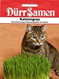 Dürr-Samen Katzengras