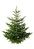Echter Premium Weihnachtsbaum Nordmanntanne Tannenbaum Christbaum frisch geschlagen 1. Wahl in verschiedenen Größen lieferbar (80-100 cm)