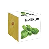 ecocube Holzwürfel - Basilikum