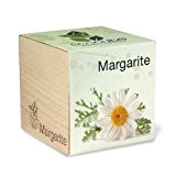 ecocube Holzwürfel - Margarite