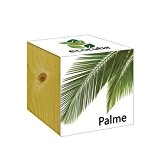 ecocube Holzwürfel - Palme