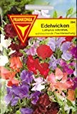 Edelwicken Royal, Wicken, Lathyrus odoratus, ca. 20 Samen