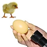Ei Candler Hohe Intensität Batteriebetriebene Taschenlampe Tester für Schraffur Geflügel Eier (zufällige Farbe)