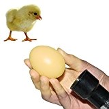Ei Candler Zucht Ei Fruchtbarkeitsprüfer Schierlampe Inkubators für Licht & Dunkel Bruteier Farbe zufällig 1 Stück