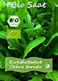 Eichblattsalt grün a couper feuille de chene blonde 200 bio Samen