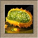 Ein Profi-Pack (50 Stücke / Los) Früchte Gurkensamen Balkon Grüne Gemüsesamen Rote Gurke-Samen vergossen