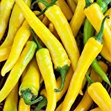 Eine ertragreiche und aromatische Neuzüchtung - Cayenne-Chili gelb - 20 Samen