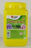 Eisensulfat grüne Korrektur- und Anti für Wiese Blumen Pflanzen aus 1 kg