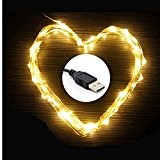 Eleidgs 100 LEDs 10m/32.8ft Kupfer Schnur USB 5V Monochrom Schnur Lichter, Wasserdicht Flexibel Lichtleiste mit USB-Anschluss, für Innen- und Außenbereich, ...