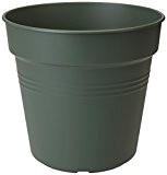 Elho Anzuchttopf Green Basics, laubgrün, 11x11x10.1 cm, 6811011136000